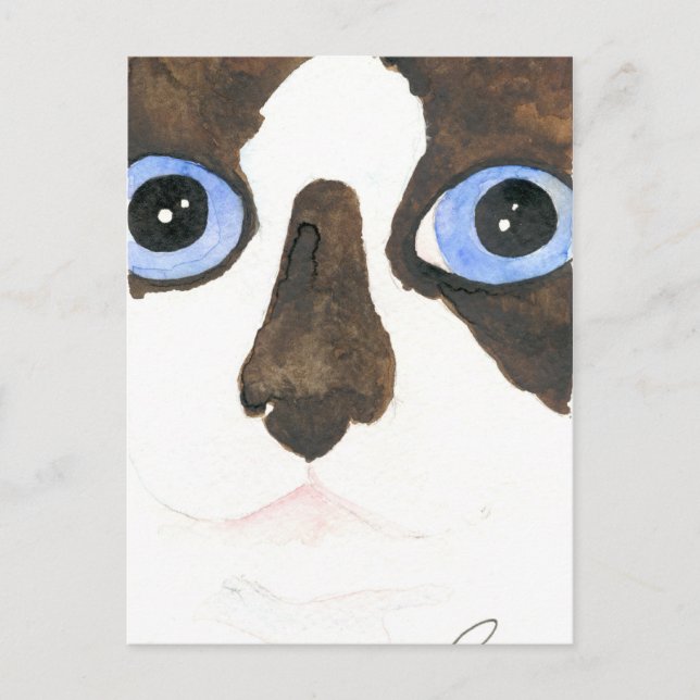 Große Mit Augen Schneeschuhkatze Postcard Postkarte (Vorderseite)
