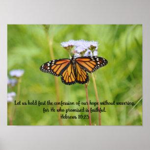 Große Monarchen Schmetterling auf Wildblumen Poste Poster