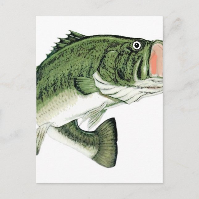 Große Mouth Bass Postkarte (Vorderseite)
