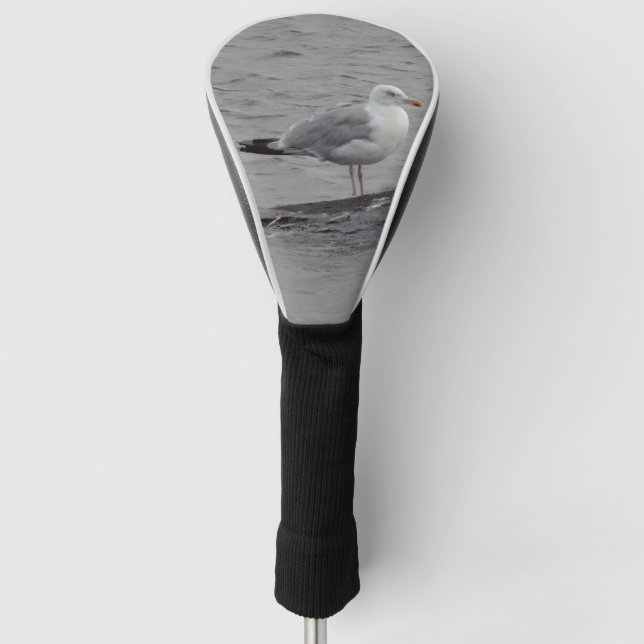 Große Möwe Golf Headcover (Vorderseite)