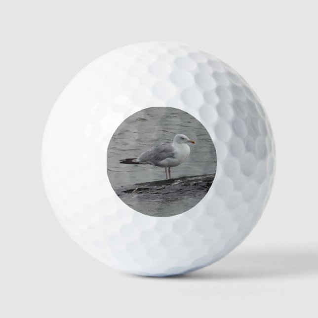 Große Möwe Golfball (Vorderseite)