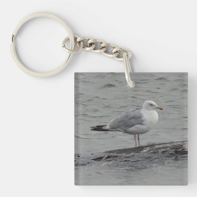 Große Möwe Schlüsselanhänger (Vorderseite)