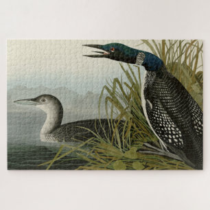 Große Nordtaucher Loon Audubon Birds of America Puzzle