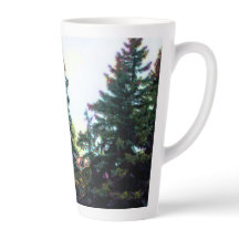 Große Nordwälder Borealer Wald Kanada Kiefern