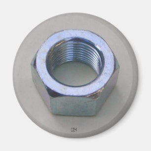 Große Nuss Magnet