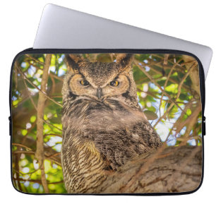 Große Ohreneule-Wildlife-Natur-Kunstfoto Laptopschutzhülle