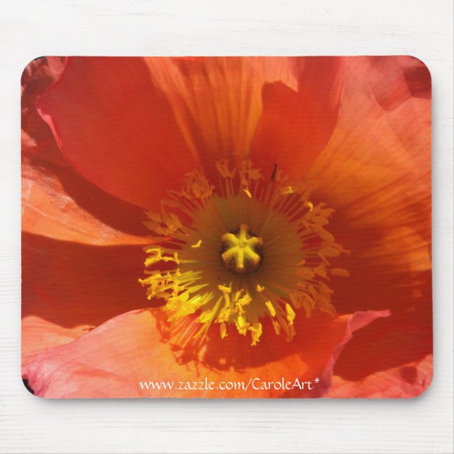 Große orange Mohnblume Mousepad (Vorne)