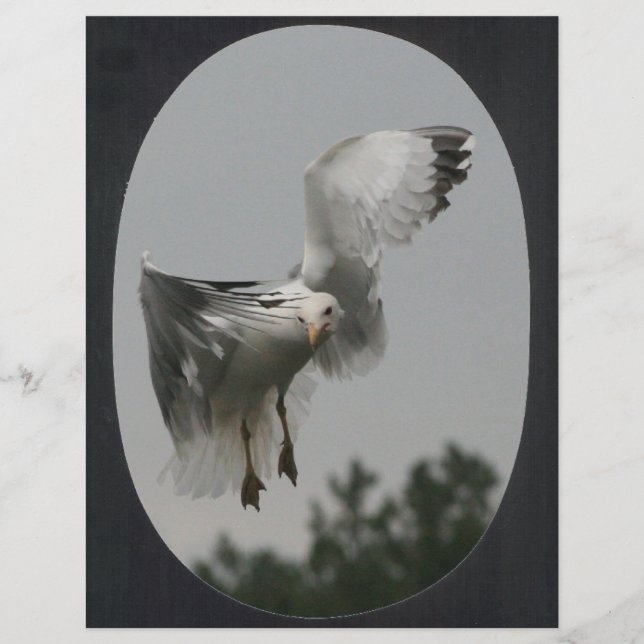 Große ovale Rahmen (schwarz) (Vorderseite)