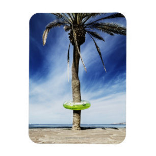 Große Palme auf einem sandigen Strand mit Magnet