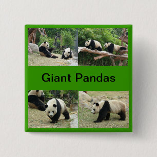 Große Pandas Button