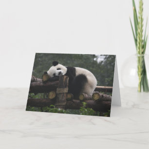 Große Pandas im Schutzgebiet für Große Pandas Karte