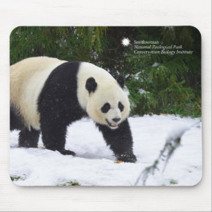 Große Pandas Smithsonian   im Schnee Mousepad