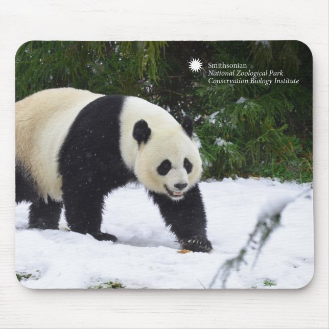 Große Pandas Smithsonian | im Schnee Mousepad (Vorne)