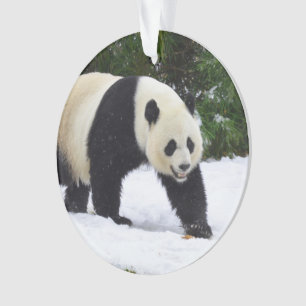 Große Pandas Smithsonian   im Schnee Ornament