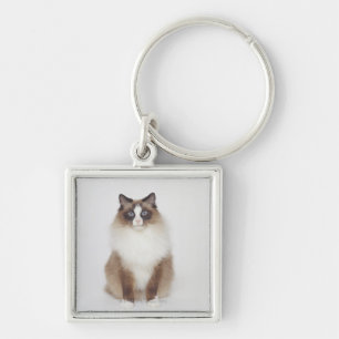 Große Pelzkatze Schlüsselanhänger