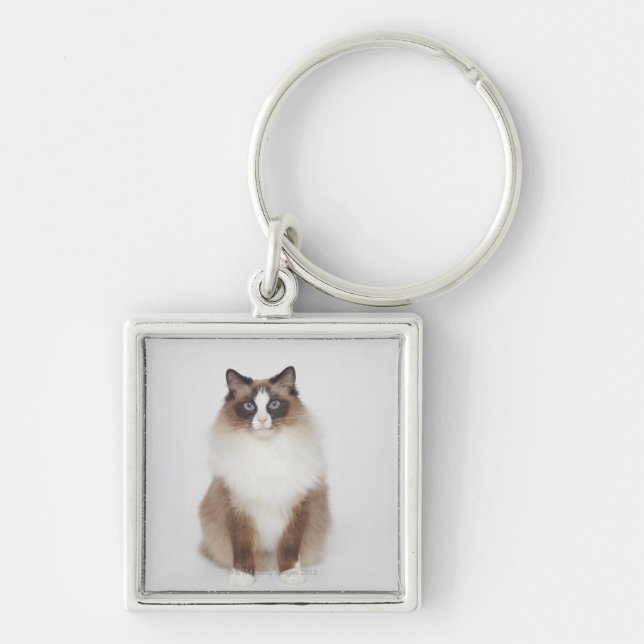 Große Pelzkatze Schlüsselanhänger (Vorne)
