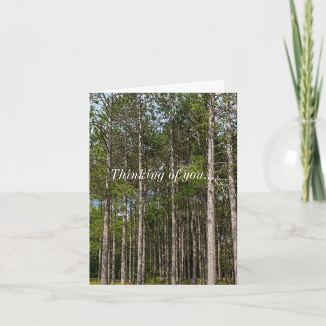 Große Pines denken Sie an Ihre Karte (Vorderseite)