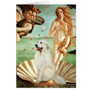 Große Pyrenäen 1 - Geburt der Venus