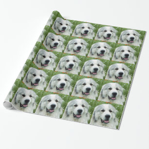 Große Pyrenäen Geschenkpapier