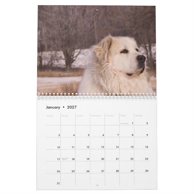 Große Pyrenäen-Kalender Kalender (Jan 2027)
