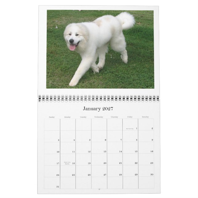 Große Pyrenäen-Kalender Kalender (Jan 2027)