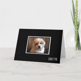 Große Pyrenäen Karte