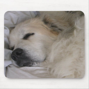 Große Pyrenäen mousepad
