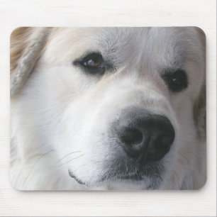 Große Pyrenäen Mousepad