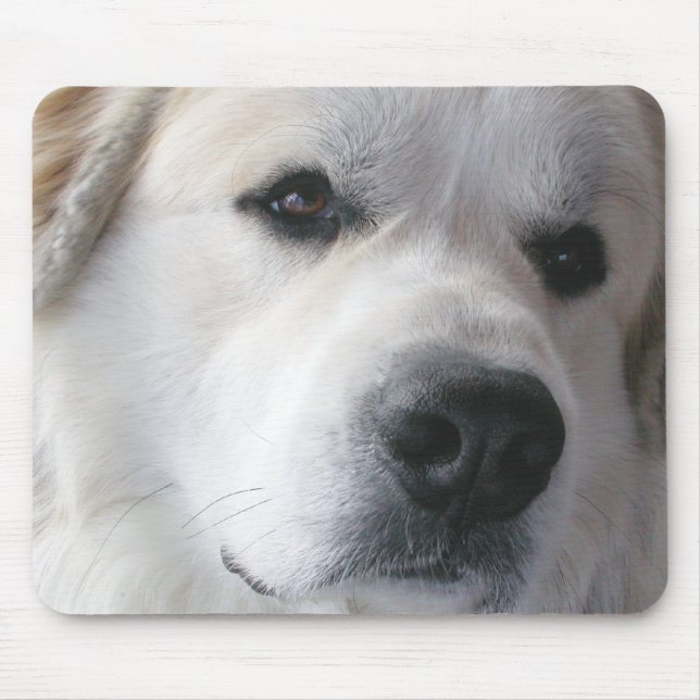 Große Pyrenäen Mousepad (Vorne)