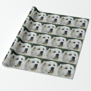 Große Pyrenäen-Packpapier Geschenkpapier