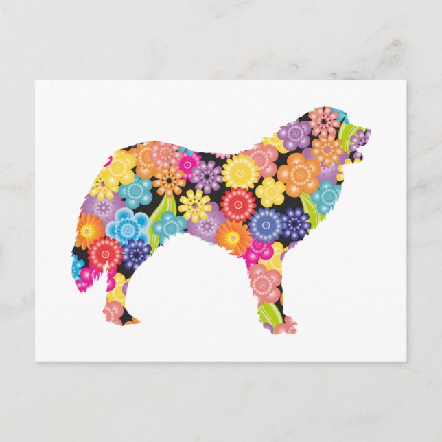 Große Pyrenäen Postkarte (Vorderseite)