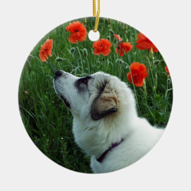 Große Pyrenäen-Welpe Keramikornament (Vorne)