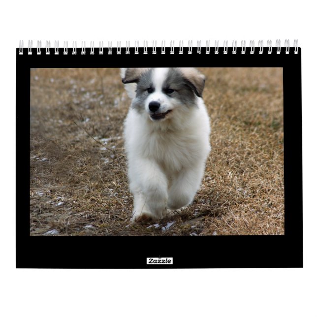 Große Pyrenäen-Welpen-Kalender Kalender (Rückseite)