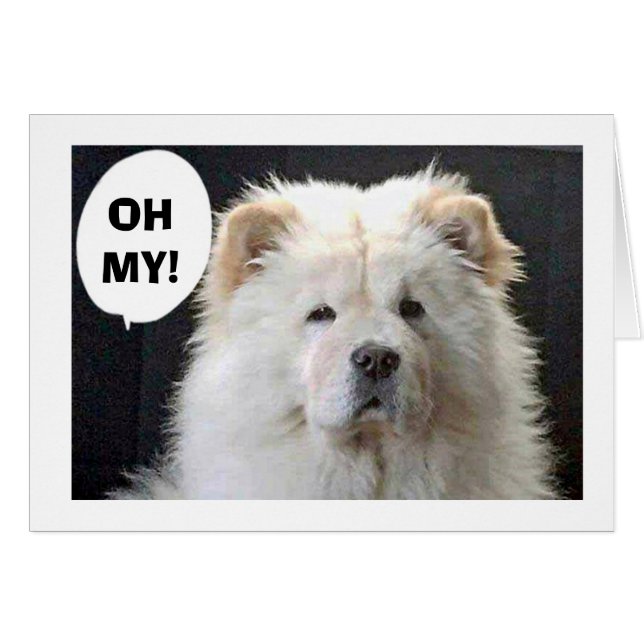 GROSSE PYRENEES SAGT "GLÜCKLICH 40." (Vorderseite (Horizontal))