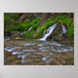 Große Quellen Virgin River   Zion-Nationalpark Poster