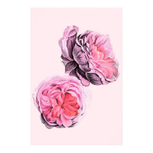 Große rosa Blumen Vintage-Kunstposter