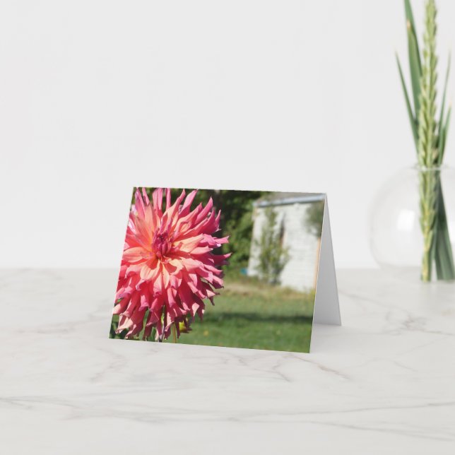 "GROSSE ROSA DAHLIE" NOTECARD KARTE (Vorderseite)