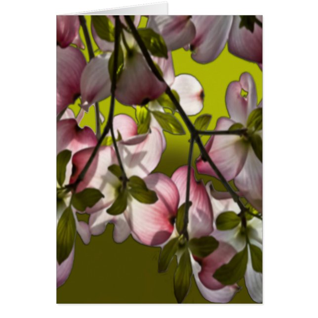 Große rosa Dogwood-Blume - grün (Vorne)
