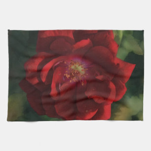 Große rote dramatische Rosen-Kunst-Küchenhandtuch Geschirrtuch