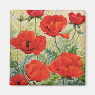Große rote Mohnblumen Magnet