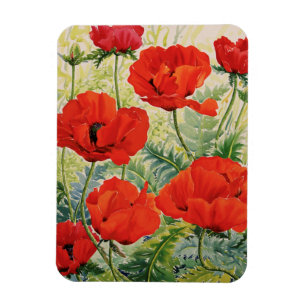 Große rote Mohnblumen Magnet
