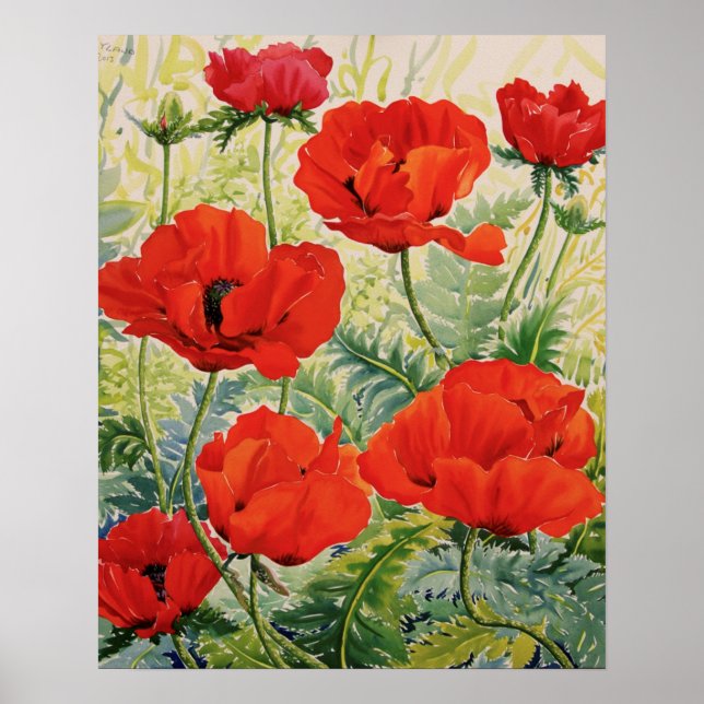 Große rote Poppies Poster (Vorne)