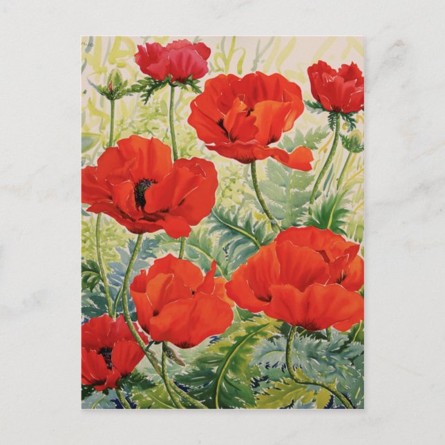 Große rote Poppies Postkarte (Vorderseite)