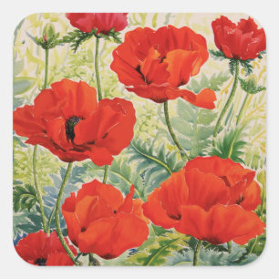 Große rote Poppies Quadratischer Aufkleber