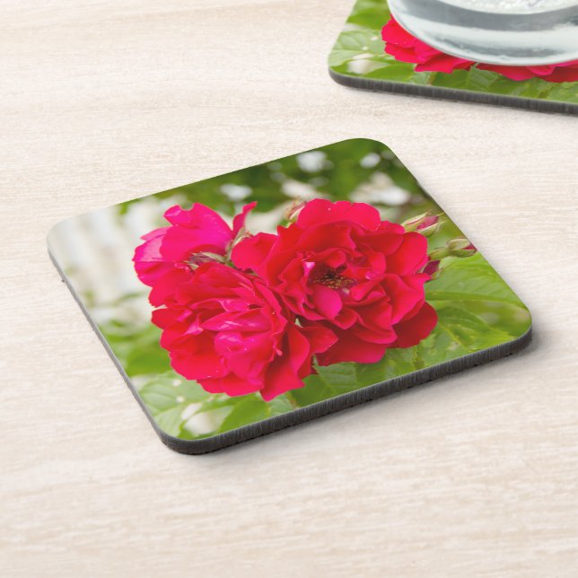 Große rote Rosen im Garten Getränkeuntersetzer (Linke Seite)