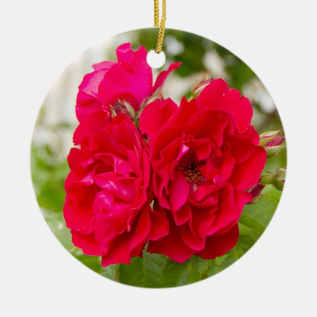 Große rote Rosen im Garten Keramik Ornament (Vorne)