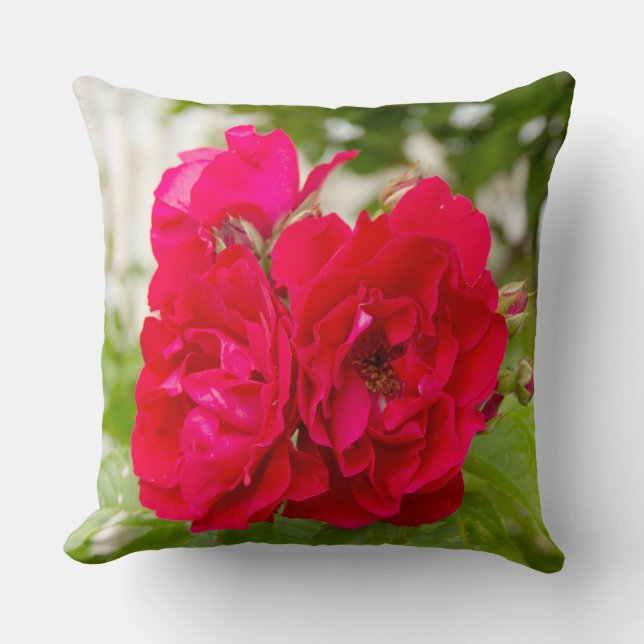 Große rote Rosen im Garten Kissen (Vorderseite)