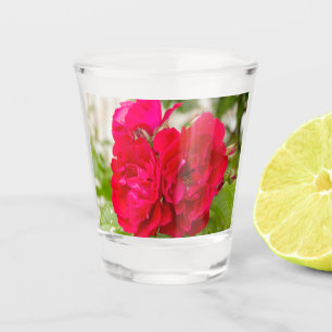 Große rote Rosen im Garten Schnapsglas