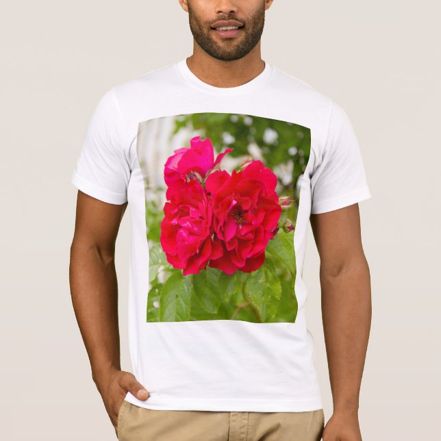 Große rote Rosen im Garten T-Shirt (Vorderseite)