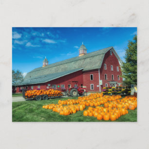 Große rote Vermont-Scheune mit Kürbissen Postkarte